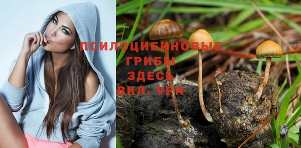 наркотики Алексеевка