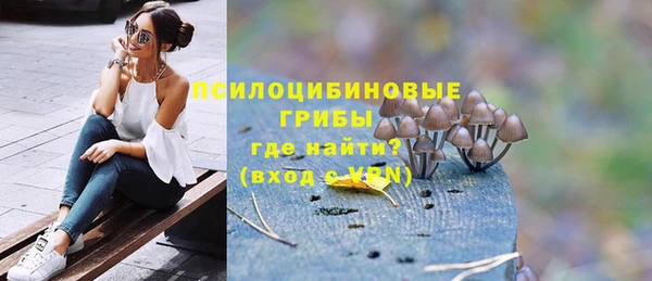 стафф Зерноград
